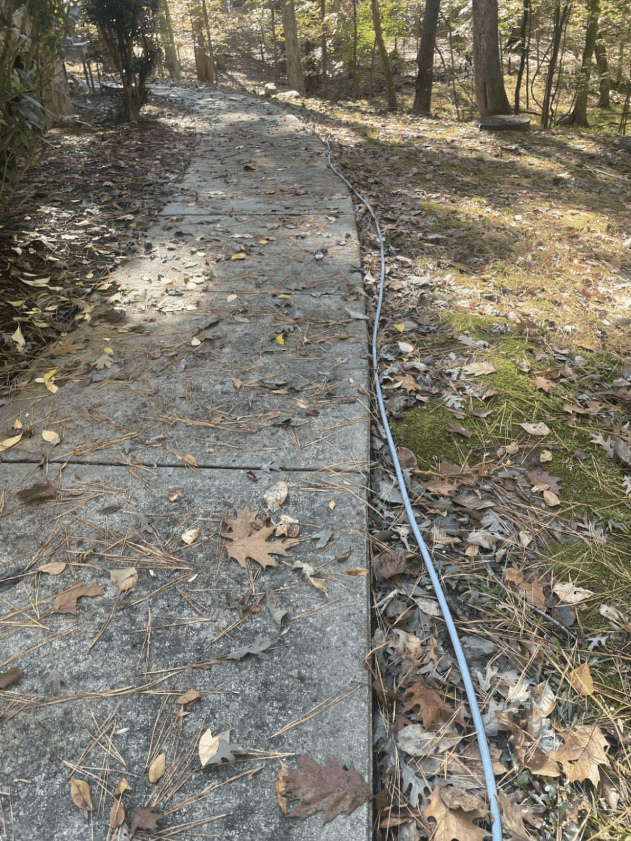 Sidewalk & Concrete Cleaning before